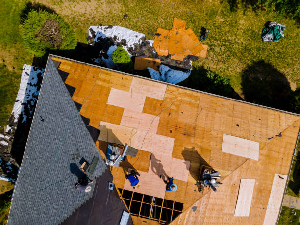 Best Roof Gutter Cleaning  in Zilwaukee, MI